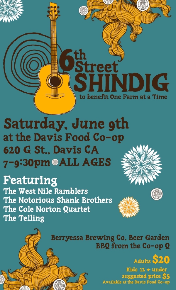 Concert poster for the 6th Street Shindig